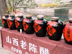 -元大都城垣遗址公园