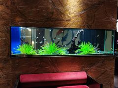 -松临·铁板烧&Omakase(神农店)