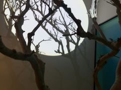 -周渝食惦·酸菜鱼精致川菜(横岗店)