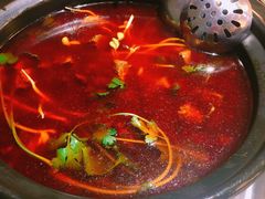 -茯菟菟fu tu tu耙牛肉(龙湖源著店)