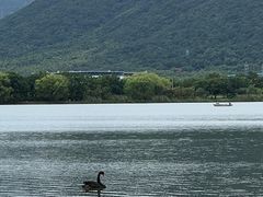 -长兴太湖图影湿地文化园