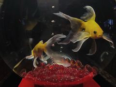-三越百货(三越银座店)