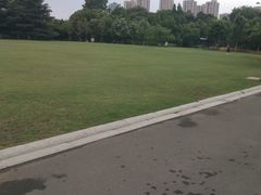 -青枫公园