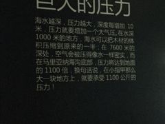 -同济大学四平路校区深海探索馆