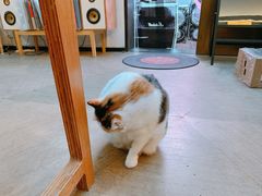 -黑胶星球(华发中城商都店)