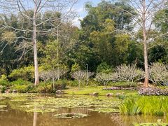 -中国科学院西双版纳热带植物园