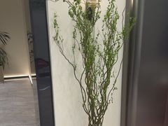 -W·24H茶楼·棋牌·掼蛋(望京店)