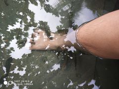 -三亚珠江南田温泉度假区