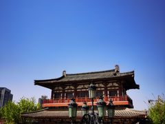 -西安乐游原