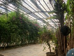 -呀路古热带植物园