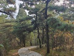 -金龙寺国家森林公园