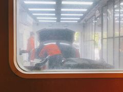 -天猫养车贴膜轻改·蓝电(优匹康桥东路店)