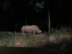 -清迈夜间动物园