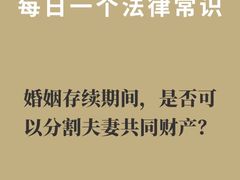 -上海领胜律师团队·法律咨询