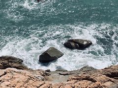 -广东惠东海龟国家级自然保护区