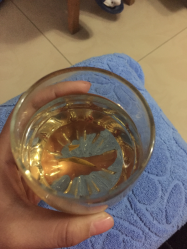 -健身堂科技美肌SPA