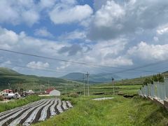 -草原天路(张北县)