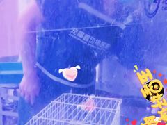 -康乐宝动物医院