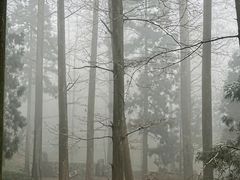 -莫干山风景区