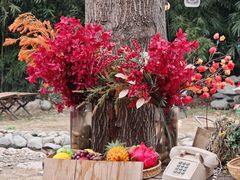 -HERRE·FARM 赫尔露营农场·团建聚会包场