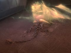 -世界恐龙谷景区