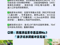 -佛冈森波拉度假区