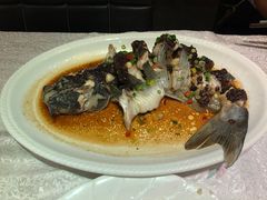 豉汁蒸钳鱼-沙河粉村·国家非遗传承(云台店)