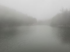 -四明山国家森林公园