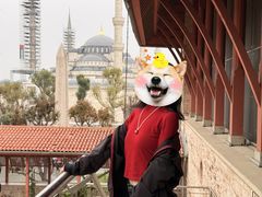 -土耳其与伊斯兰艺术博物馆