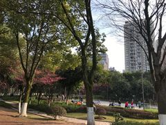 -重庆彩云湖湿地公园