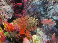 -太平洋海底世界