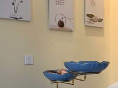 -艾通康缘艾灸.疼痛.睡眠养生馆(凤凰城店)