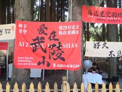 -武陵山森林公园