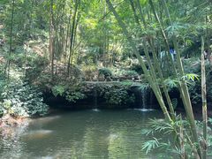 -蜀南竹海景区