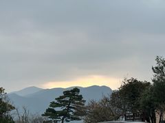 -江南天池