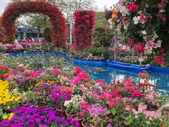 -东莞植物园