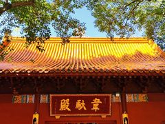-深圳仙湖植物园