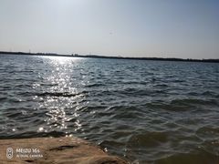 -丁香湖公园