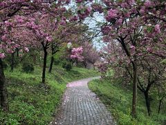 -南湾湖