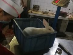 -温江公平红烧兔(总店)