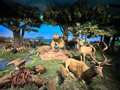 -国家自然博物馆