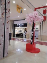 -悦诗风吟innisfree