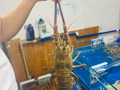 -三亚新鸿港水果一级批发市场