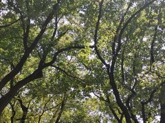-魅KTV·AI辅唱(人民广场旗舰店)