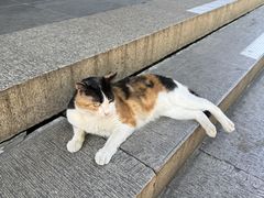 -西园寺素食(西园弄戒幢律寺店)