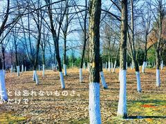 -长春世界雕塑园冰雪艺术天地