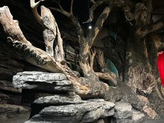 -杭州滨江宝龙城