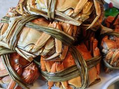 阳澄湖大闸蟹-水岸居湖景农家乐·阳澄湖大闸蟹