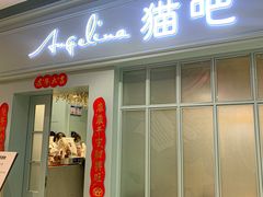 门面-安格丽娜·狗咖·猫咖羊驼咖(春熙路百盛商场店)