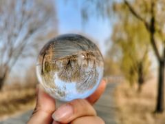 -野鸭湖国家湿地公园